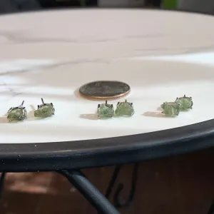 3 sets of Amazing Moldavite Earrings to choose from!
