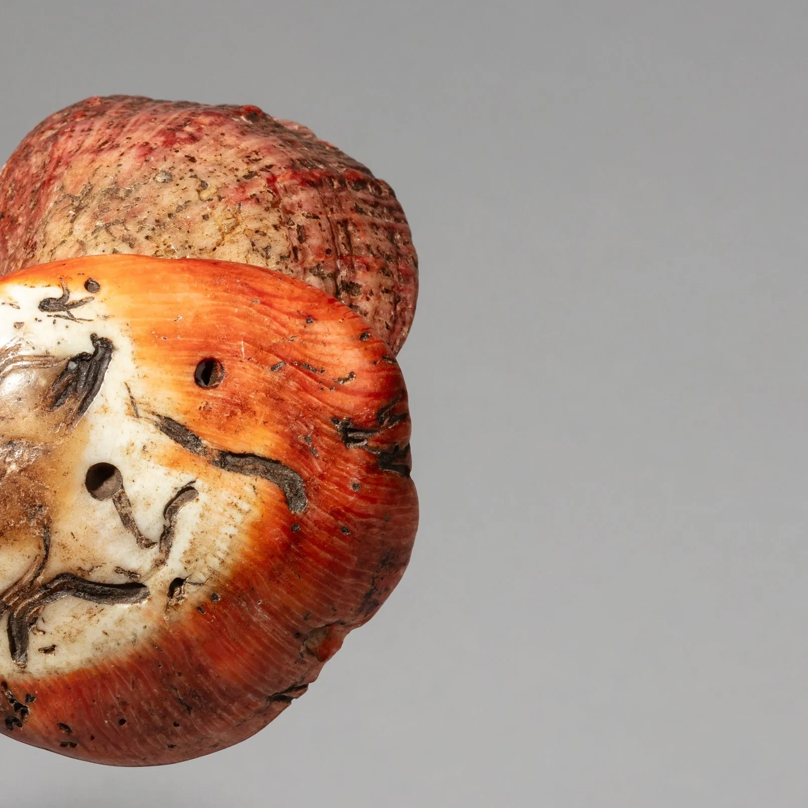 A PRETTY SET OF 4 BAULE TRIBE PINK SHELLS , IVORY COAST ( No 4043 )
