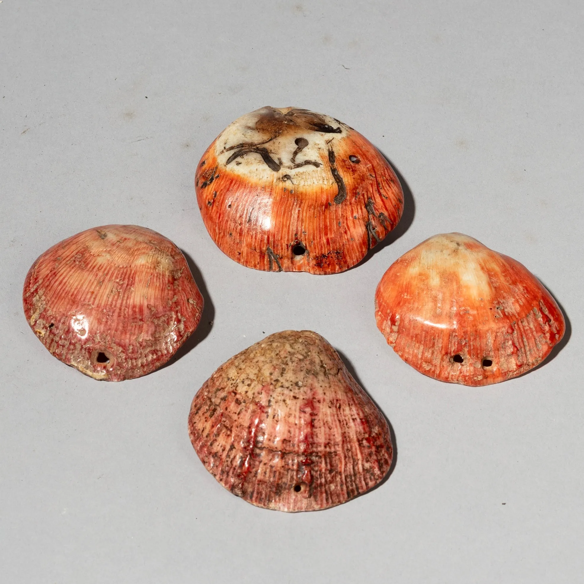 A PRETTY SET OF 4 BAULE TRIBE PINK SHELLS , IVORY COAST ( No 4043 )