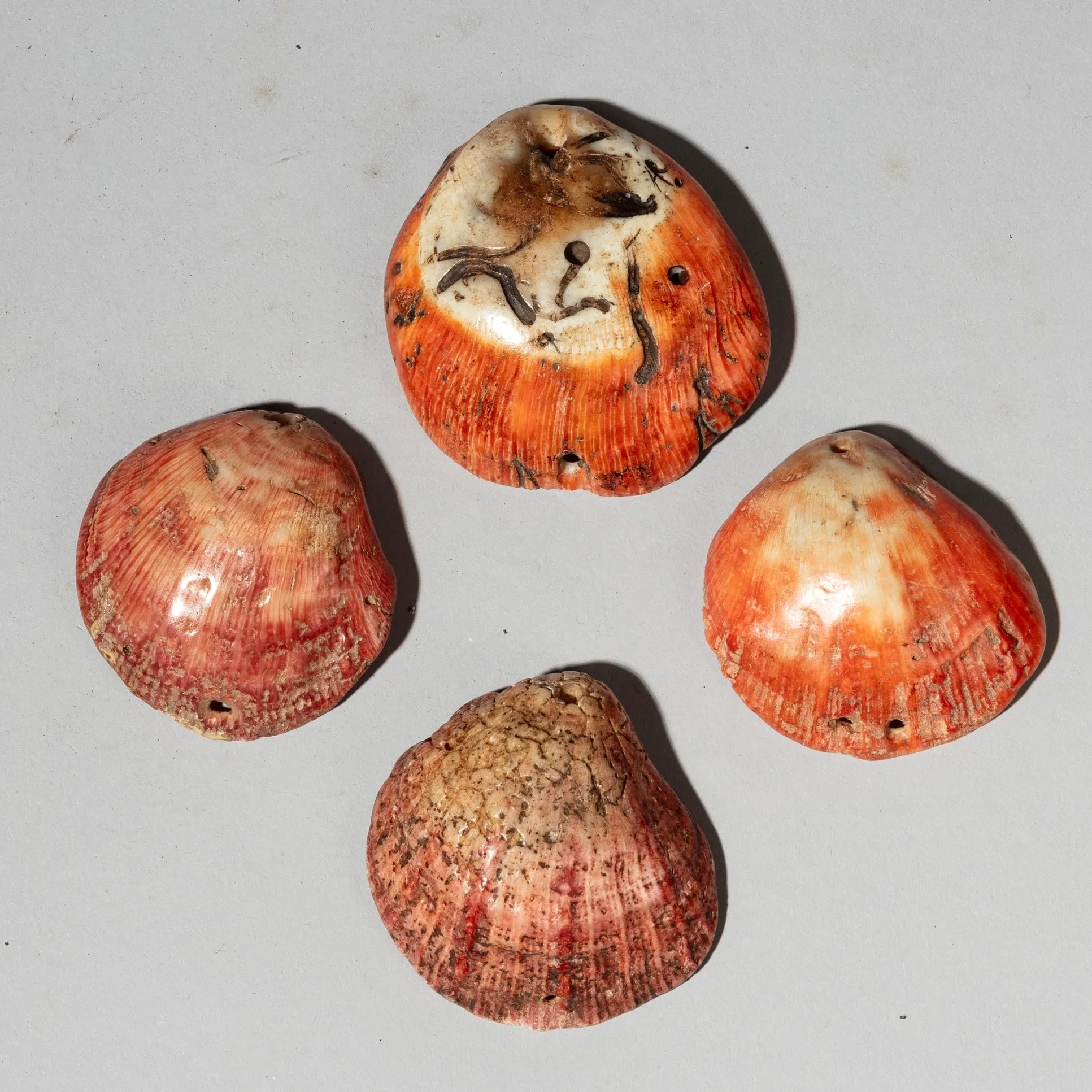 A PRETTY SET OF 4 BAULE TRIBE PINK SHELLS , IVORY COAST ( No 4043 )