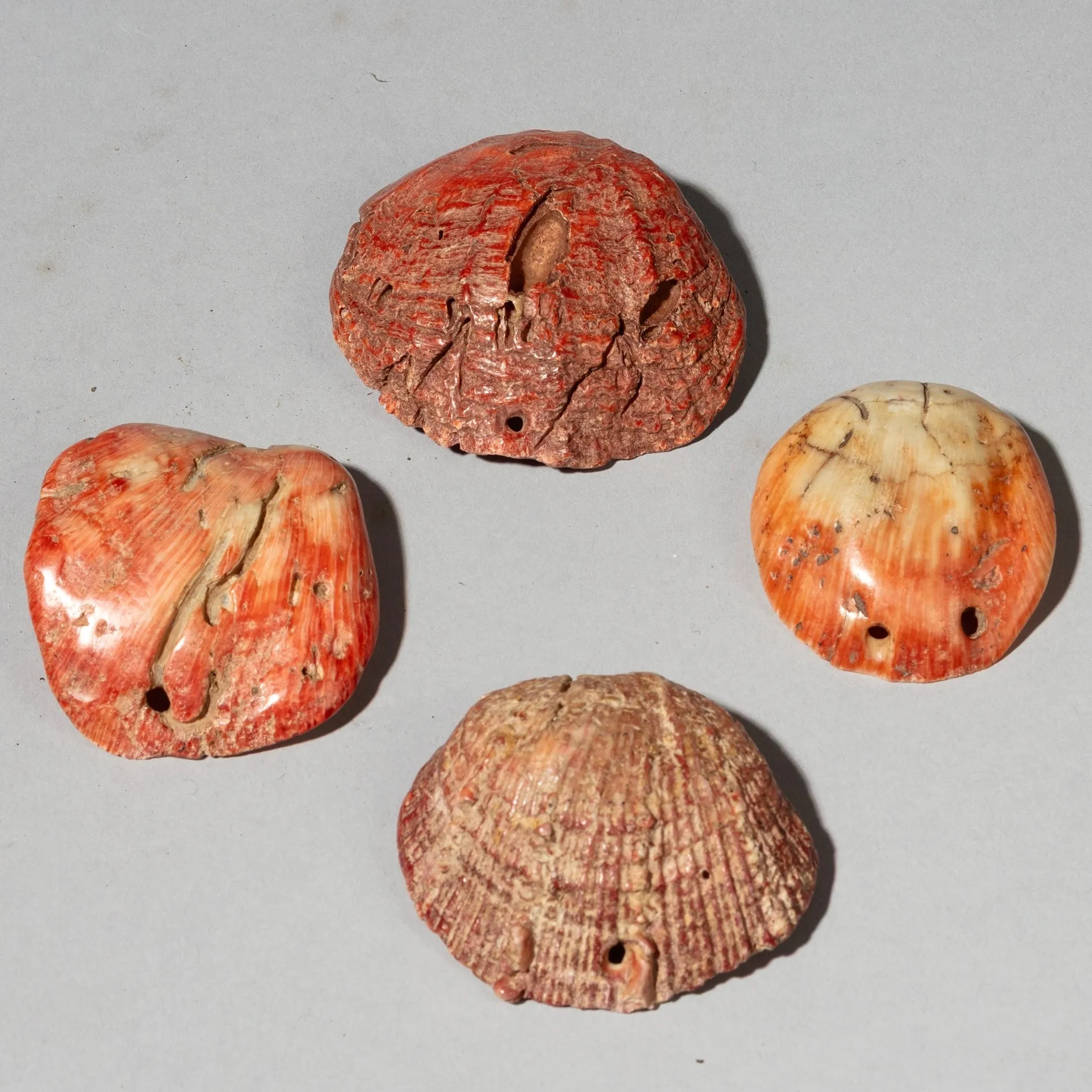 A PRETTY SET OF 4 BAULE TRIBE PINK SHELLS , IVORY COAST ( No 4045 )