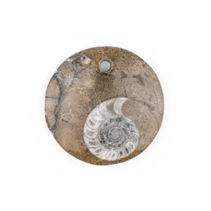 Ammonite Moroccan Fossil Pendant