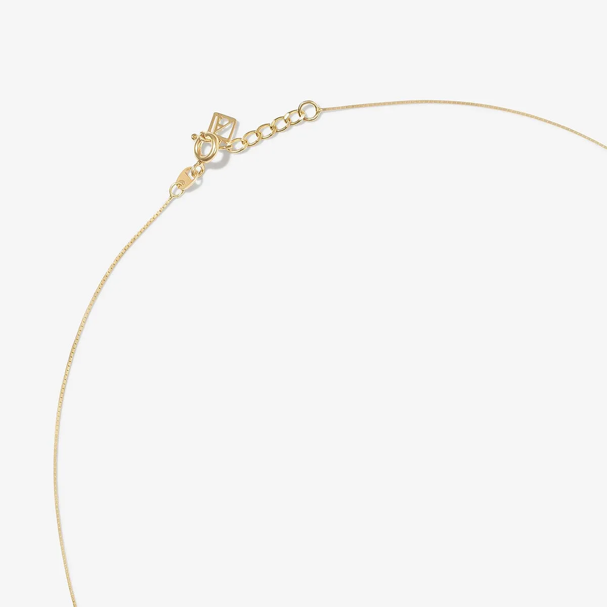 Joe snake chain necklace