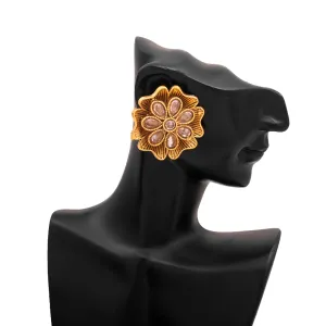 Ladies Earrings - T0262215