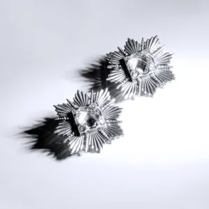 Zircon Earrings "Paylk"